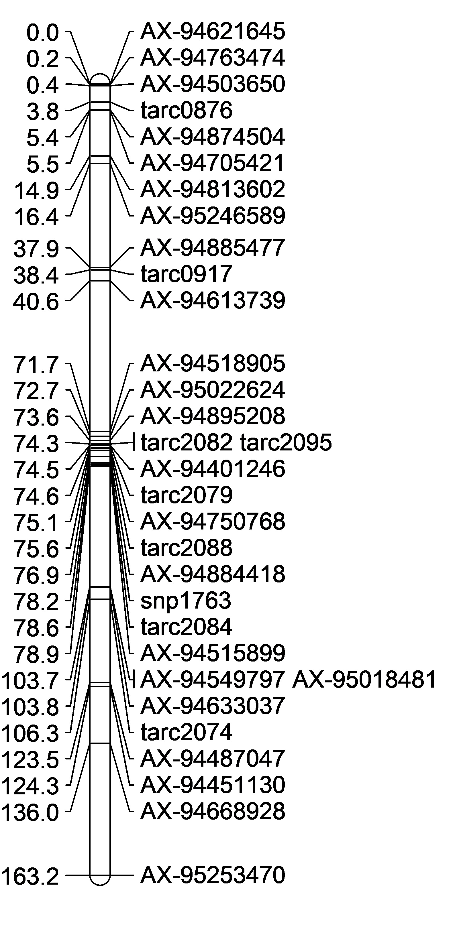 MaxAxiom2B