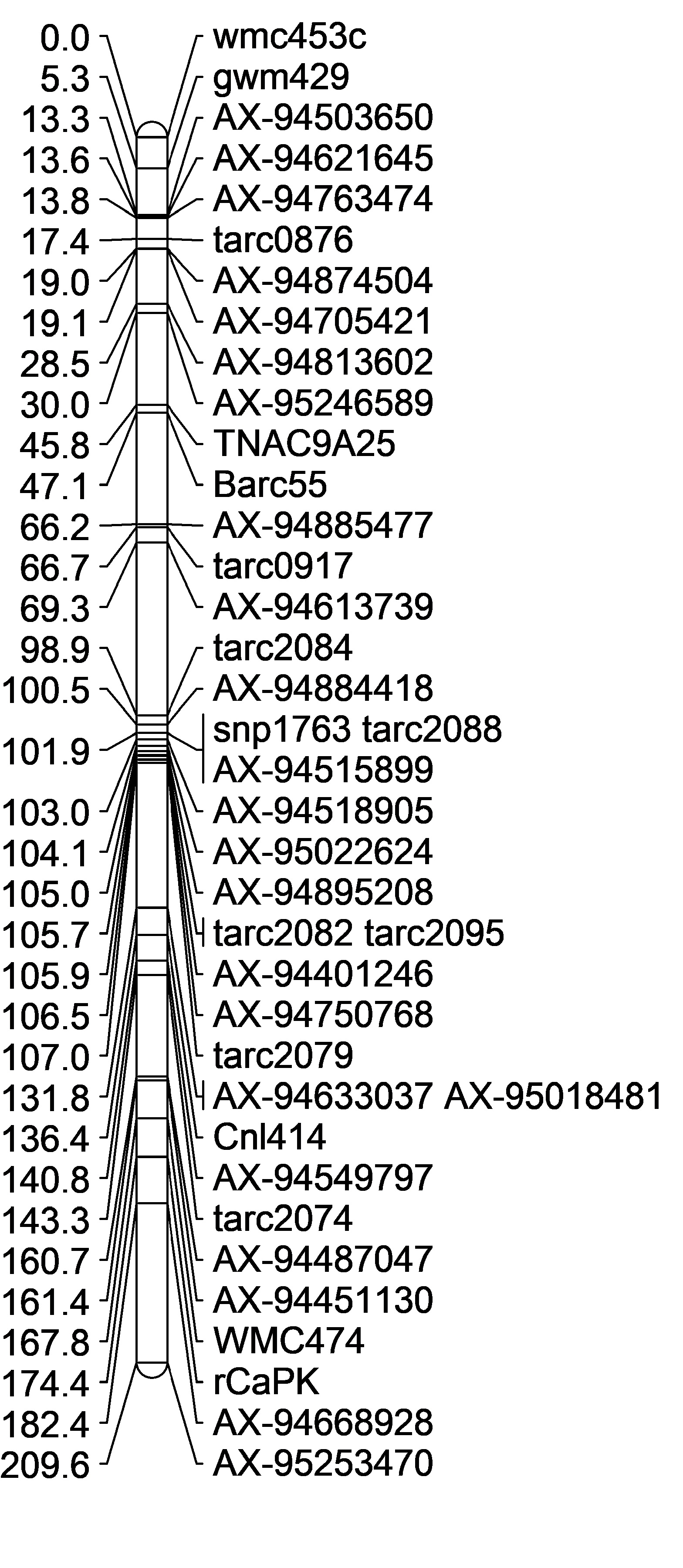 MaxBoth2B