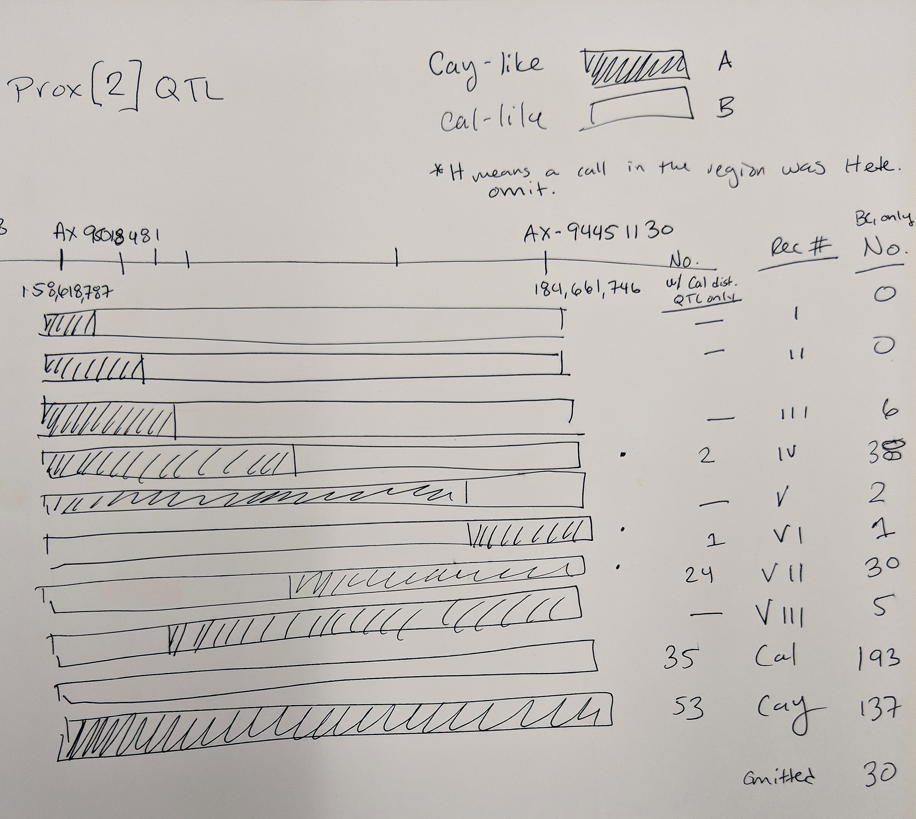 AxiomDoodle3